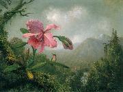 Martin Johnson Heade Orchid and Hummingbird near a Mountain Waterfall oil on canvas